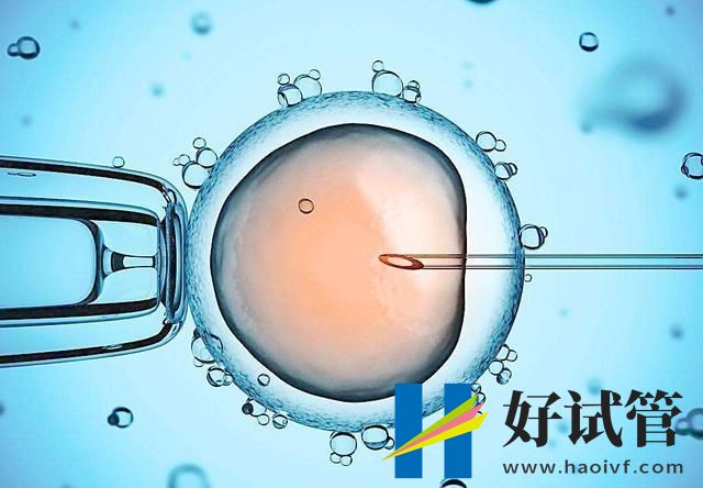 那曲有试管婴儿医院助孕吗?流程步骤有哪些?(图1) 1335553260-1.jpg
