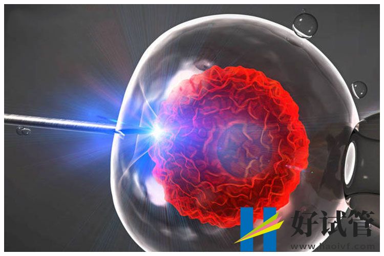 在阿克苏做第三代试管婴儿的费用大约多少?(图1) 2-2002121456490-L.jpg