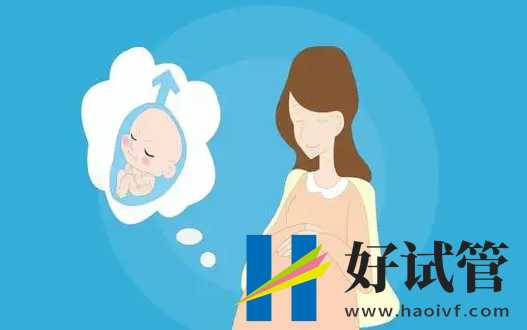 辽宁2024十佳试管医院排名公布(图1) undefined