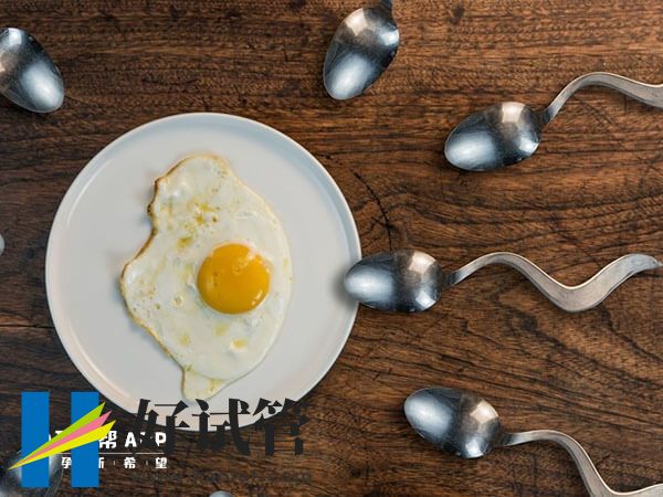 试管婴儿怎么才能选出优质精子?形态筛选不可少(图1) 试管婴儿精子活力条件