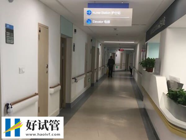 3分钟了解俄罗斯试管婴儿,妊娠率高原来是因为这(图2) 俄罗斯的试管技术好不好