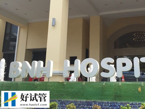 泰国BNH医院试管婴儿流程(图1) 1.jpg