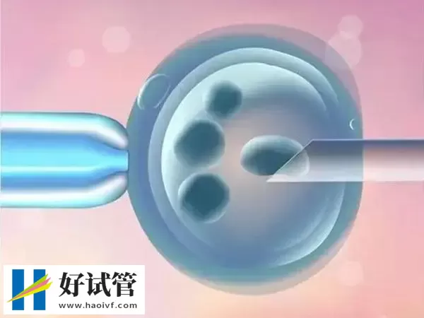 天津供卵试管婴儿多少钱(图1) 天津做供卵费用因人而异