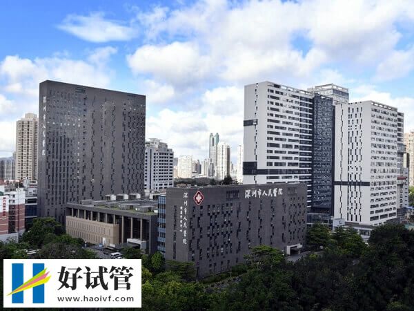 深圳市人民医院试管婴儿成功率多少(图1) 深圳市人民医院大楼