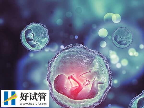 供精做试管婴儿的利弊(图1) 供精做试管婴儿的优缺点