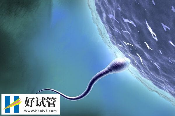 做试管婴儿卵子质量差怎么办(图1) 做试管婴儿卵子质量差的解决办法