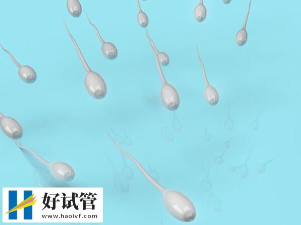 无ab级别精子做试管的条件(图1) 精子质量差活动率高也能做试管