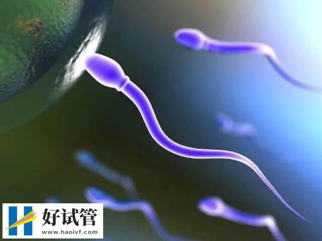 无ab级别精子做试管的条件(图2) 精子活动力abcd4级的正常值参考范围