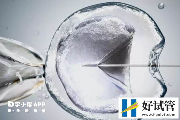 沈阳盛京医院试管婴儿成功率多少(图1) 盛京医院做试管婴儿成功率在50%
