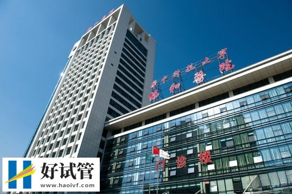 武汉试管婴儿名医榜,这几位很靠谱(图1) 武汉试管医生名单