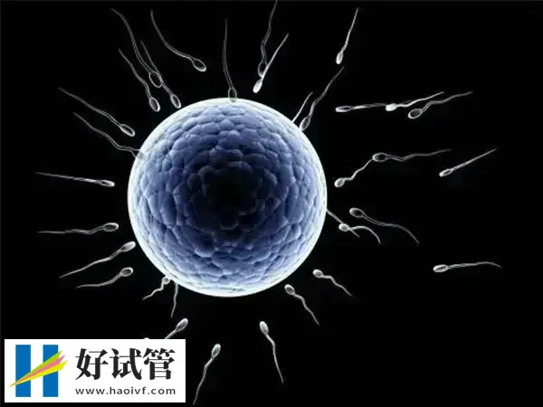 促排卵一般几次能成功(图1) 影响促排卵成功率的因素是比较多的