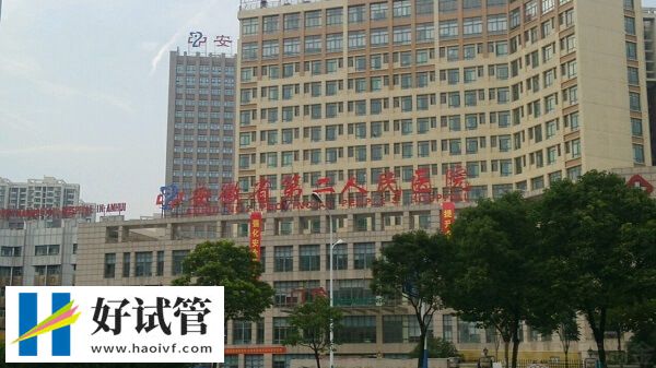 024合肥供卵试管婴儿机构大全,附省妇幼助孕费用概览(图2) 安徽供卵试管医院名单