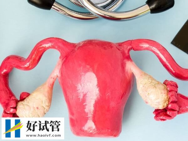 兰州宫腔粘连患者做试管多少钱(图1) 兰州宫腔粘连治疗费约5500-12000元