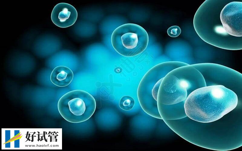 揭秘格鲁吉亚试管双胞胎费用,具体价格由这3点影响(图3) 格鲁吉亚试管双胞胎费用受助孕套餐影响