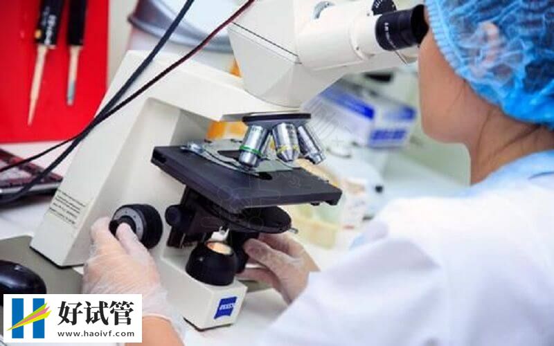 揭秘格鲁吉亚试管双胞胎费用,具体价格由这3点影响(图5) 格鲁吉亚试管技术不同费用不同