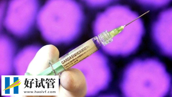 促排时间一般几天(图1) efd0ad78536b5b921865f5962d14b0e9_tZJ3ZveEiB1734493221580.png