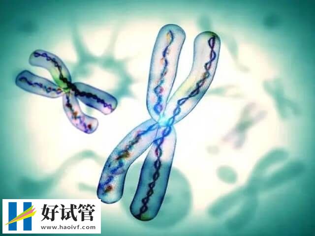 试管三代囊胚检测有没有风险(图1) 三代试管囊胚送检并非百分百成功