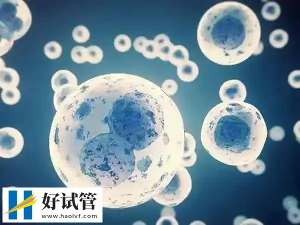 拮抗剂不移植鲜胚的原因是什么(图1) 拮抗方案可能会导致内膜状态不稳定