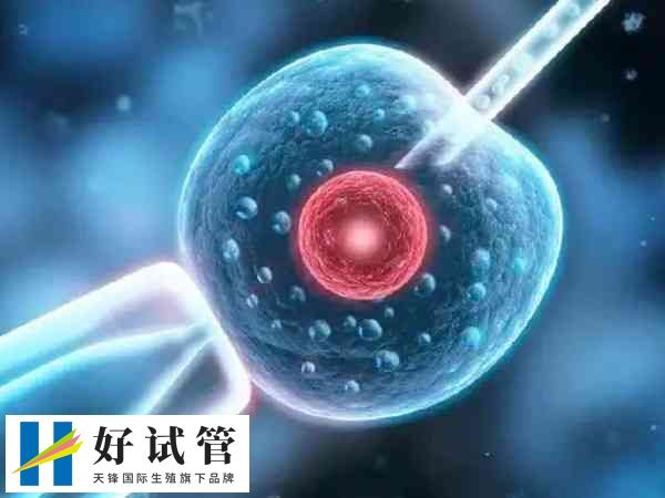 取卵的损伤可能更大一些