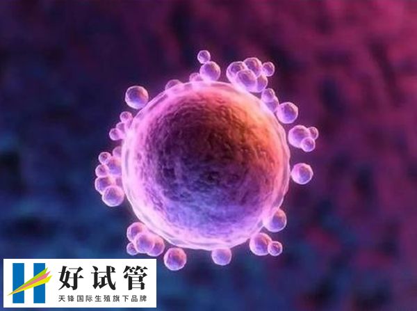 阴道B超可以帮助医生确定准确的排卵时间