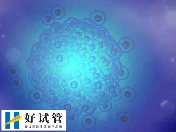 实施三代试管要不要做无创(图2) PGT技术存在一定的局限性