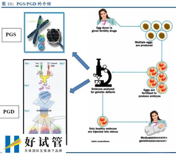 什么是PGT-A(图1) PGS/PGD的介绍