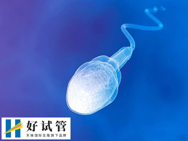 穿刺取到C级精子能否做试管婴儿(图1) c级精子活性较低