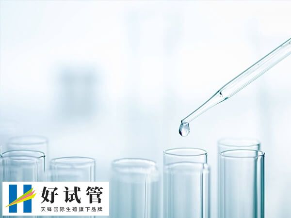 囊胚移植后食欲下降正不正常(图1) 囊胚移植后使用药物后会引起胃口不好