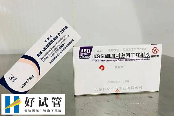 试管移植前哪些人会灌注粒细胞(图2) 子宫内膜炎可以关注粒细胞刺激因子