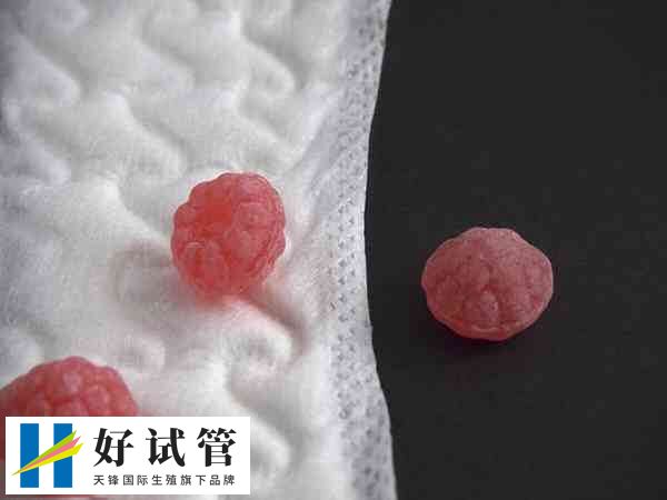 降低试管婴儿妊娠率的疾病有哪些(图1) 盆腔炎会影响试管妊娠率