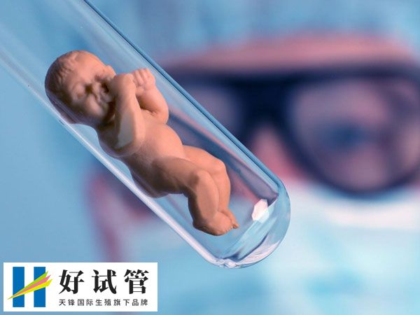 高龄夫妻做试管的成功率(图2) 45岁以后不建议尝试生育