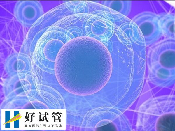 取了卵为什么会配不到胚胎(图2) 卵子成熟度差会导致受精失败