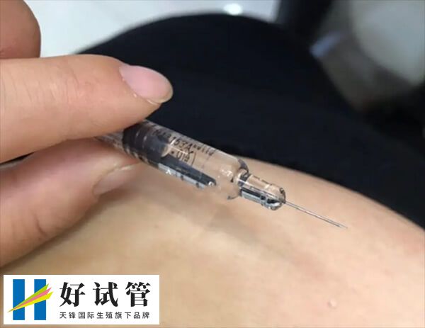 长方案促排卵泡大小不一怎么回事(图1) 导致促排卵泡大小不匀称因素多