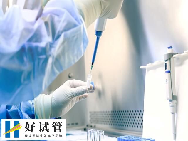 精子质量差做试管成功率,注意这几点受孕率可高至40%(图2) 222.jpg