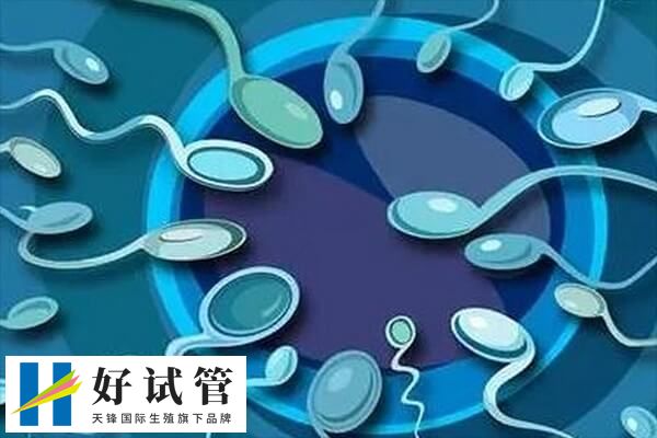 会影响生育能力的不良性行为中包括经期同房吗?(图1) 性行为不当会影响生育能力