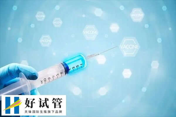 短方案通常在月经的第2-3天开始使用药物