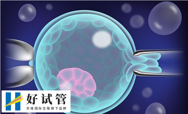 泰国试管婴儿成功几率大吗?泰国十大试管医院大全整理(图1) 577927c9b110e09e1b122d97ea6b0748_tdf-1489.jpg