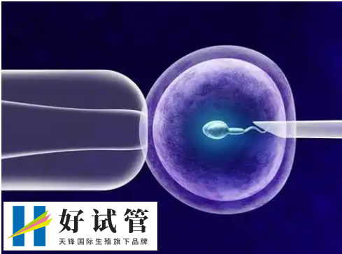 移植着床成功后一般内裤会很干净吗?(图1) 移植后症状个体有差异