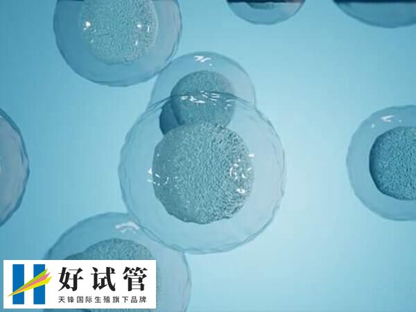 试管移植前针灸加艾灸有什么用(图2) 针灸可降低焦虑情绪