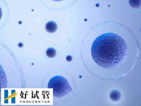 促排后卵泡不长是不是激素低(图1) 试管促排卵是一种辅助生殖技术