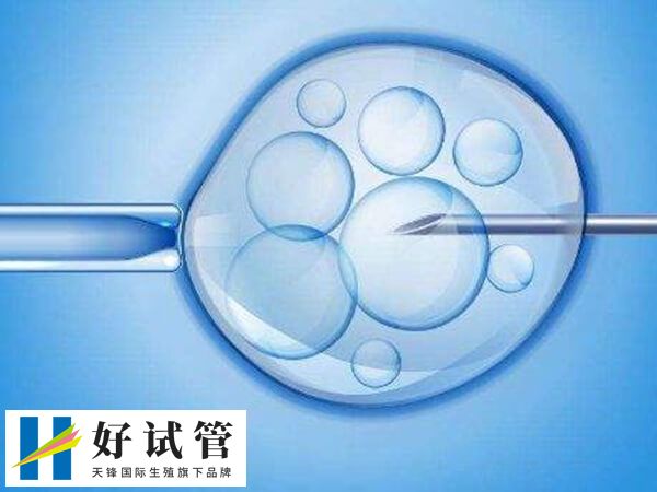 做三代试管生男孩要多少钱(图1) 三代试管进行性别筛选在国内是违法的