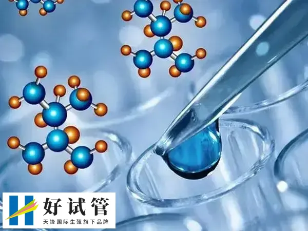 做三代试管生男孩要多少钱(图2) 三代试管能对胚胎进行基因检测