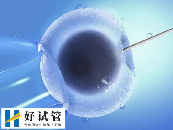 做三代试管生男孩要多少钱(图3) 非法的性别筛选违反法律规定