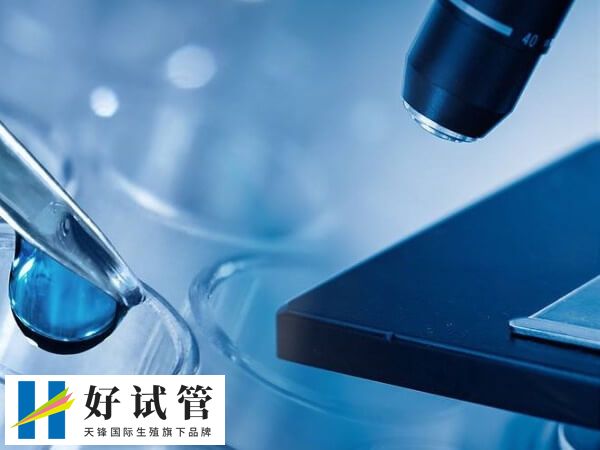 长春试管婴儿最好医院是哪家(图1) 长春能做试管婴儿手术的医院真不少