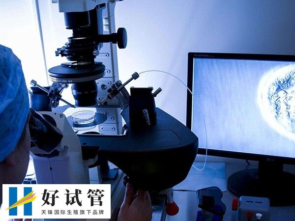 二代试管婴儿技术即单精子卵胞浆注射