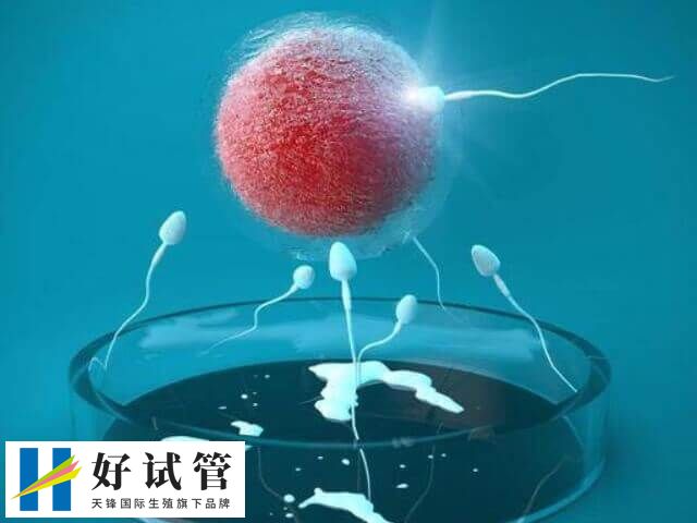 女方患hiv可不可以做三代试管婴儿(图1) 女方患HIV在国内一般不可以做三代试管婴儿