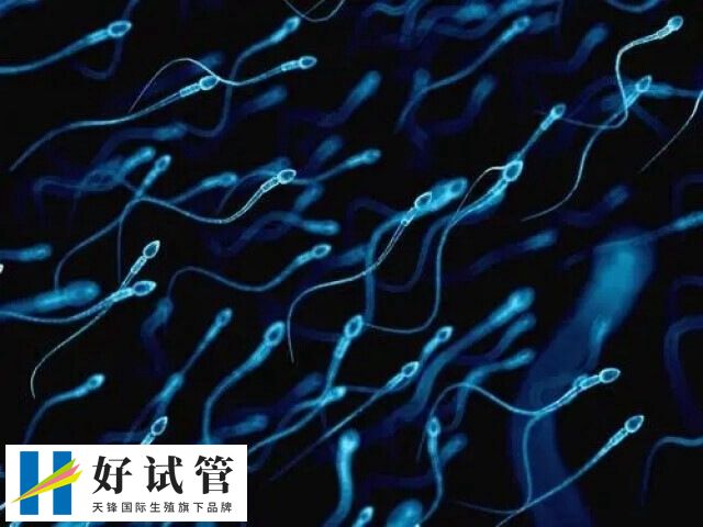 国内单身男性做试管婴儿是不合法的