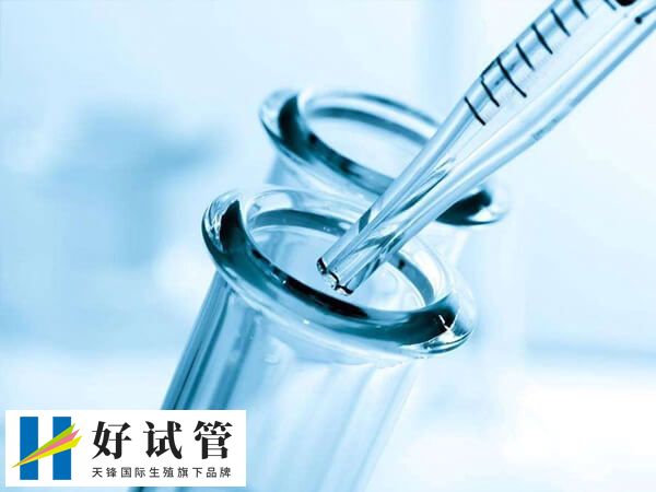 5ca囊胚的等级是不是很低(图1) 5ca囊胚不属于是优质胚胎