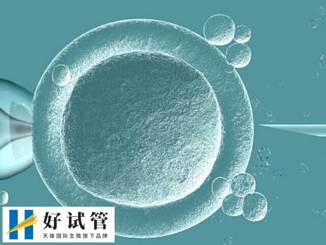 5ca囊胚的等级是不是很低(图2) 5ca囊胚的质量较差