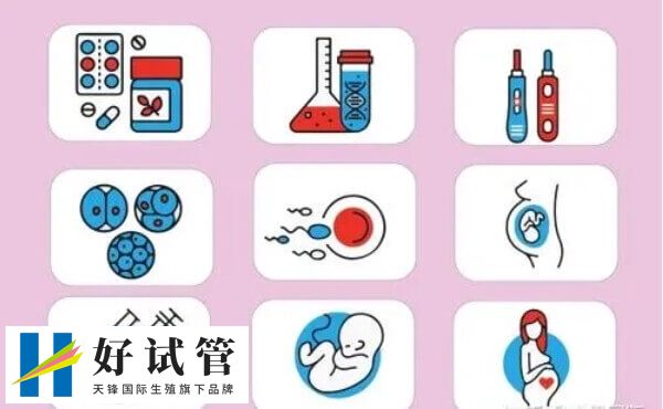 5ca囊胚的等级是不是很低(图3) 5ca囊胚可以移植